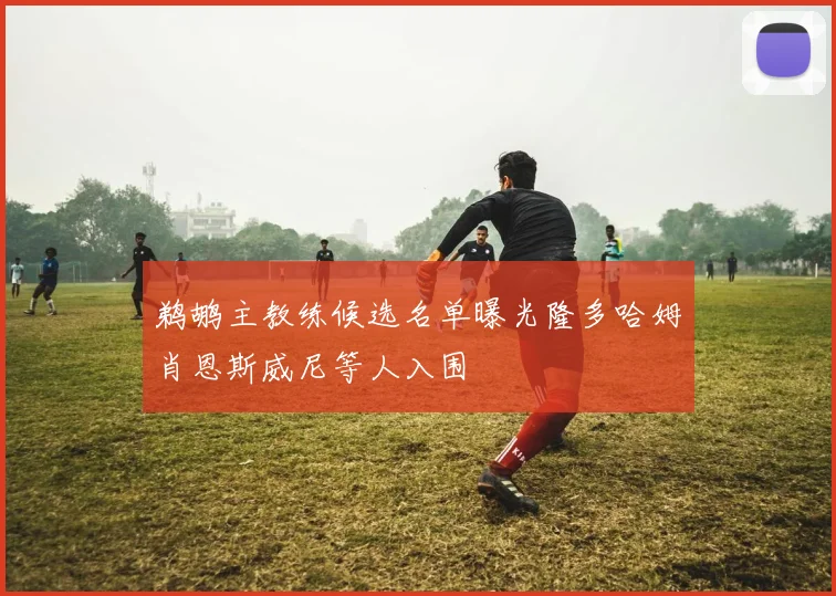 鹈鹕主教练候选名单曝光隆多哈姆肖恩斯威尼等人入围
