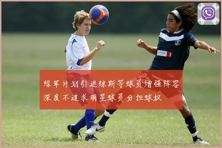 绿军计划引进琼斯等球员增强阵容深度不追求明星球员分担球权