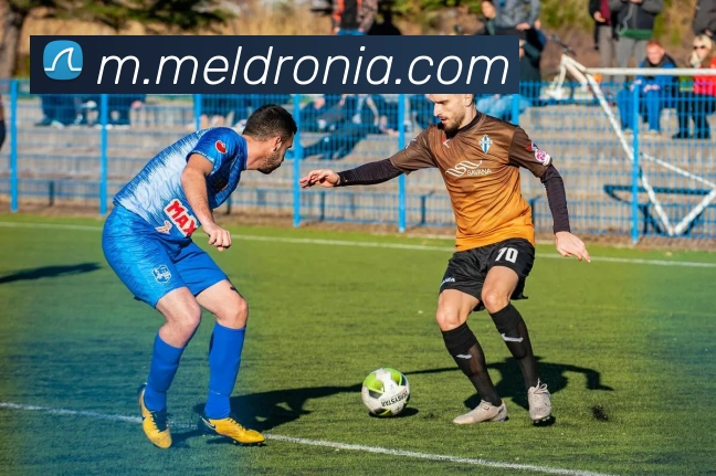 奖项图2